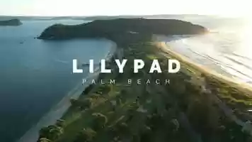 Free download Lilypad Palm Beach video and edit with RedcoolMedia movie maker MovieStudio video editor online and AudioStudio audio editor onlin