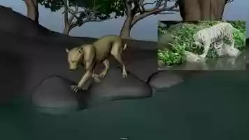 Free download lion_animation video and edit with RedcoolMedia movie maker MovieStudio video editor online and AudioStudio audio editor onlin