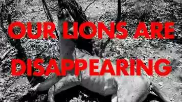 Free download Lion Recovery Fund: Call to Action video and edit with RedcoolMedia movie maker MovieStudio video editor online and AudioStudio audio editor onlin