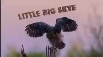 Free download LITTLE BIG SKYE video and edit with RedcoolMedia movie maker MovieStudio video editor online and AudioStudio audio editor onlin