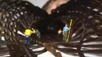 Free download LITTLE HAIR STORY N5 video and edit with RedcoolMedia movie maker MovieStudio video editor online and AudioStudio audio editor onlin