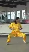 Free download Liu Da Kai / Baji Quan - Christoph Eberhard video and edit with RedcoolMedia movie maker MovieStudio video editor online and AudioStudio audio editor onlin