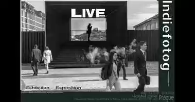 Free download Live-Photo Exhibition video and edit with RedcoolMedia movie maker MovieStudio video editor online and AudioStudio audio editor onlin