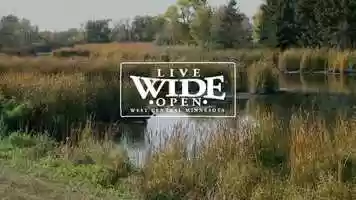 Free download Live Wide Open: Be a Big Fish in a Small Pond! video and edit with RedcoolMedia movie maker MovieStudio video editor online and AudioStudio audio editor onlin