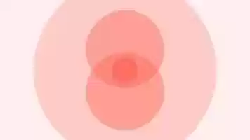 Free download Living Coral video and edit with RedcoolMedia movie maker MovieStudio video editor online and AudioStudio audio editor onlin