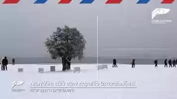 Free download Living PostCard from Greece - Olive tree Thessaloniki video and edit with RedcoolMedia movie maker MovieStudio video editor online and AudioStudio audio editor onlin