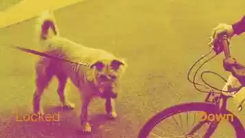 Free download Lock Down 6 video and edit with RedcoolMedia movie maker MovieStudio video editor online and AudioStudio audio editor onlin