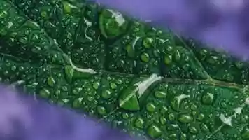 Free download Logo - Photo Intro Premiere Pro Templates video and edit with RedcoolMedia movie maker MovieStudio video editor online and AudioStudio audio editor onlin