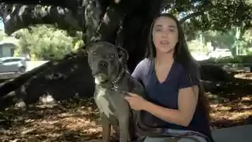 Free download Look at this face video and edit with RedcoolMedia movie maker MovieStudio video editor online and AudioStudio audio editor onlin