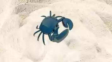 Free download LOST CRAB IN RANDOM lABYRINTH.mp4 video and edit with RedcoolMedia movie maker MovieStudio video editor online and AudioStudio audio editor onlin