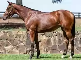 Free download Lot 371 - Pierro x Princess Youmzain filly video and edit with RedcoolMedia movie maker MovieStudio video editor online and AudioStudio audio editor onlin