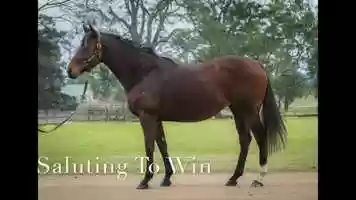 Free download LOT 399 Saluting To Win video and edit with RedcoolMedia movie maker MovieStudio video editor online and AudioStudio audio editor onlin