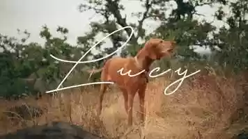 Free download Lucy: A Pet Story (2019) video and edit with RedcoolMedia movie maker MovieStudio video editor online and AudioStudio audio editor onlin