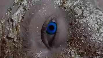 Free download Lumen, der Minister - Lapislazuli (prod. by AF) video and edit with RedcoolMedia movie maker MovieStudio video editor online and AudioStudio audio editor onlin