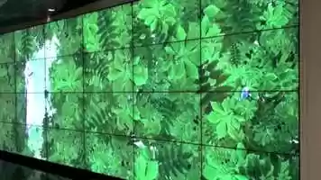 Free download LUSENS ANIMATIONS OF A WONDERFUL WORLD video and edit with RedcoolMedia movie maker MovieStudio video editor online and AudioStudio audio editor onlin