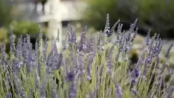 Free download Lynn Grove - Enrollment Video video and edit with RedcoolMedia movie maker MovieStudio video editor online and AudioStudio audio editor onlin