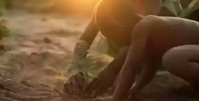 Free download Madagascar Planting Site | tentree video and edit with RedcoolMedia movie maker MovieStudio video editor online and AudioStudio audio editor onlin