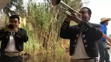Free download mad mariachi video and edit with RedcoolMedia movie maker MovieStudio video editor online and AudioStudio audio editor onlin