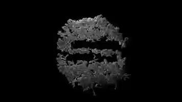 Free download Maelstrom Sans S Campaign Video. (1920 x 1200px) video and edit with RedcoolMedia movie maker MovieStudio video editor online and AudioStudio audio editor onlin