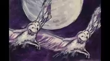 Free download Magical creatures l The Owls l Paint Process l Art Work l video and edit with RedcoolMedia movie maker MovieStudio video editor online and AudioStudio audio editor onlin