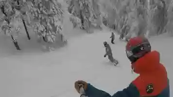 Free download Magical moments in Poiana Brasov forest! video and edit with RedcoolMedia movie maker MovieStudio video editor online and AudioStudio audio editor onlin