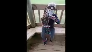 Free download Magic Bubble Puppet film video and edit with RedcoolMedia movie maker MovieStudio video editor online and AudioStudio audio editor onlin