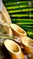 Free download Magic trip of your brain and your body--------ASMR video and edit with RedcoolMedia movie maker MovieStudio video editor online and AudioStudio audio editor onlin
