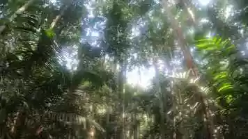 Free download MALAYSIA IS ACTION video and edit with RedcoolMedia movie maker MovieStudio video editor online and AudioStudio audio editor onlin