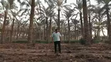 Free download mandou_x_molotof_dam_elmlook_official_music_video__f600FmWUDC0_1080p video and edit with RedcoolMedia movie maker MovieStudio video editor online and AudioStudio audio editor onlin