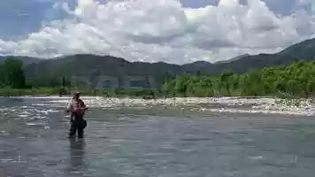 Free download Man Fly Fishing Stock Video video and edit with RedcoolMedia movie maker MovieStudio video editor online and AudioStudio audio editor onlin