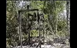 Free download Mantario Cabin Post Fire video and edit with RedcoolMedia movie maker MovieStudio video editor online and AudioStudio audio editor onlin