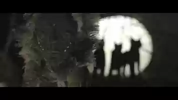 Free download Margarita Leonore / Showreel / Music videos / Stop Motion video and edit with RedcoolMedia movie maker MovieStudio video editor online and AudioStudio audio editor onlin