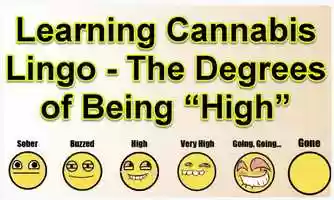 Free download Marijuana Words - Learning the Language of Being High video and edit with RedcoolMedia movie maker MovieStudio video editor online and AudioStudio audio editor onlin