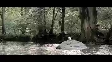 Free download Maschera - Short Film video and edit with RedcoolMedia movie maker MovieStudio video editor online and AudioStudio audio editor onlin