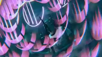 Free download MCH | Modern Animal Tour | NYC video and edit with RedcoolMedia movie maker MovieStudio video editor online and AudioStudio audio editor onlin