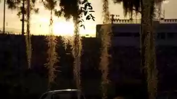 Free download McKethan Stadium: Opening Day 2020 video and edit with RedcoolMedia movie maker MovieStudio video editor online and AudioStudio audio editor onlin