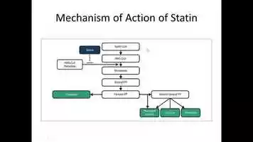 Free download Mechanism of Action of Statins video and edit with RedcoolMedia movie maker MovieStudio video editor online and AudioStudio audio editor onlin