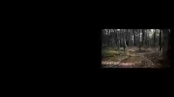 Free download MEDA 301 Prototype 2 video and edit with RedcoolMedia movie maker MovieStudio video editor online and AudioStudio audio editor onlin