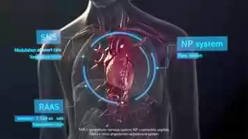 Free download Medical Animation by AXS Studio: Heart Failure with Compensatory Mechanisms video and edit with RedcoolMedia movie maker MovieStudio video editor online and AudioStudio audio editor onlin