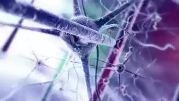 Free download medical animation preview video and edit with RedcoolMedia movie maker MovieStudio video editor online and AudioStudio audio editor onlin