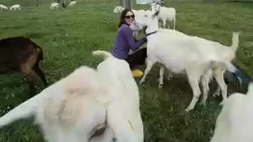 Free download Meet Our People: Gosia Zobel video and edit with RedcoolMedia movie maker MovieStudio video editor online and AudioStudio audio editor onlin