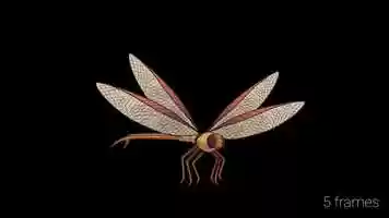 Free download Meganeura - Speed Tests video and edit with RedcoolMedia movie maker MovieStudio video editor online and AudioStudio audio editor onlin