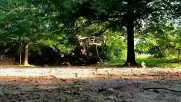 Free download Mein Film 9 video and edit with RedcoolMedia movie maker MovieStudio video editor online and AudioStudio audio editor onlin