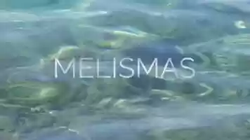 Free download Melismas (voices modulated by Anatolian landscapes) by Sajjra Xhrs Galarreta . Trailer video and edit with RedcoolMedia movie maker MovieStudio video editor online and AudioStudio audio editor onlin