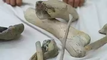 Free download MeM#7 22) Aparicin (Lutz Baumann y Alma Quintana. Mxico.) 18:56 min. (EXCERPTS  FRAGMENTOS) video and edit with RedcoolMedia movie maker MovieStudio video editor online and AudioStudio audio editor onlin