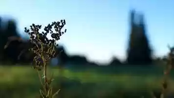 Free download Mennyt video and edit with RedcoolMedia movie maker MovieStudio video editor online and AudioStudio audio editor onlin