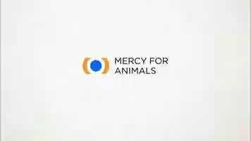 Free download Mercy For Animals video and edit with RedcoolMedia movie maker MovieStudio video editor online and AudioStudio audio editor onlin