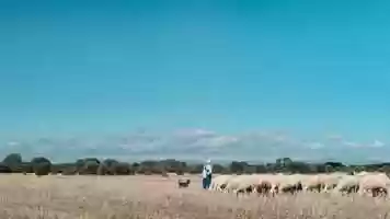 Free download MESETA_Trailer video and edit with RedcoolMedia movie maker MovieStudio video editor online and AudioStudio audio editor onlin