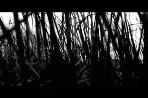 Free download Metamorphosis Movie Long +PIANO.mp4 video and edit with RedcoolMedia movie maker MovieStudio video editor online and AudioStudio audio editor onlin