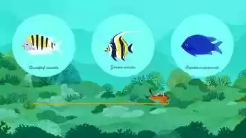 Free download Mexican Coral Reef Surveys video and edit with RedcoolMedia movie maker MovieStudio video editor online and AudioStudio audio editor onlin